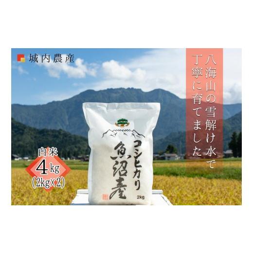ふるさと納税 米 コシヒカリ 新潟県 南魚沼市 令和7年産 南魚沼産コシヒカリ 白米4kg(2kg×2) 5割減農薬栽培米 城内農産