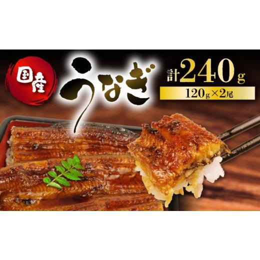 ふるさと納税 魚貝類 静岡県 藤枝市 2026年6月18日〜6月21日にお届け 父の日 の プレゼント に うなぎ 国産 蒲焼 120g ×2 計240g 鰻蒲焼 ウナギ 土用 丑の日…