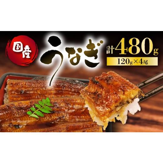 ふるさと納税 うなぎ 静岡県 藤枝市 2026年6月18日〜6月21日にお届け 父の日 の プレゼント に うなぎ 国産 蒲焼 120g × 4尾 計480g 鰻蒲焼 ウナギ 土用 丑…