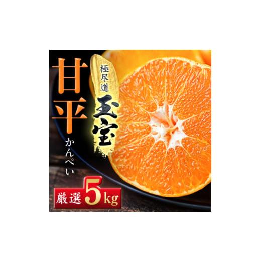 ふるさと納税 みかん・柑橘類 愛媛県 八幡浜市 「玉宝ブランド」 甘平 5kg H64-61 1621001