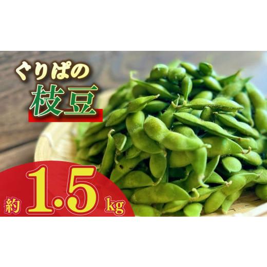 ふるさと納税 ビール 静岡県 牧之原市 予約受付令和8年6月から発送開始 野菜 枝豆 1.5kg えだまめ エダマメ 予約 予約受付 事前受付 豆 おつまみ 酒 お酒 陽…