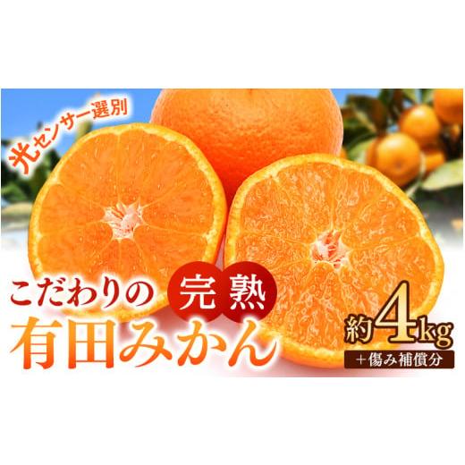 ふるさと納税 果物類 みかん 和歌山県 由良町 早期先行予約 こだわりの有田みかん 約4kg+250g(傷み補償分) ご家庭用 12月発送 光センサー選別品 農家直送品 …