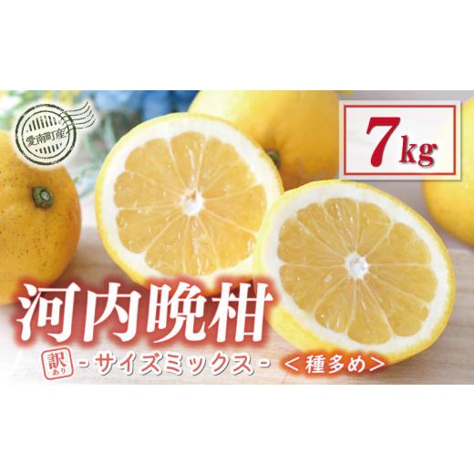 ふるさと納税 みかん・柑橘類 愛媛県 愛南町 訳あり 木成り 河内晩柑 樹齢 20年以上 7kg サイズミックス (種多め) 7000円 みかん かわちばんかん ミカン mik…