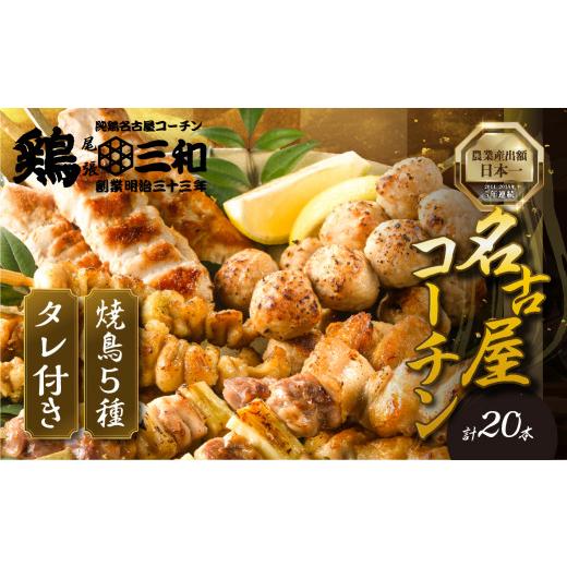 ふるさと納税 肉 愛知県 田原市 父の日お届け 鶏三和 三和の純鶏 名古屋コーチン 地鶏 焼鳥 串 5種 20本 焼き鳥(ももねぎま・ささみ・ぼんじり・皮・つくね…