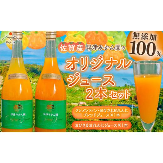 ふるさと納税 果汁飲料 みかん 佐賀県 太良町 M-53 オリジナルジュース2種2本セット 家庭用
