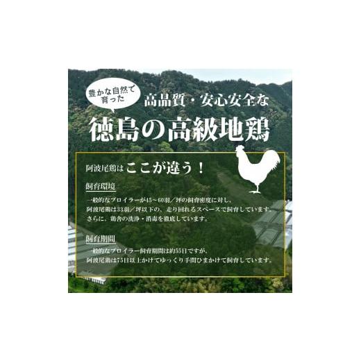 ふるさと納税 産業点数 レトルト 徳島県 海陽町 限りない 阿波尾鶏 骨付地鶏カレー 20人前仕かける カレー レトルト 阿波尾鶏 20食入り口・入口 極上阿波尾鶏骨付地鶏カレー …
