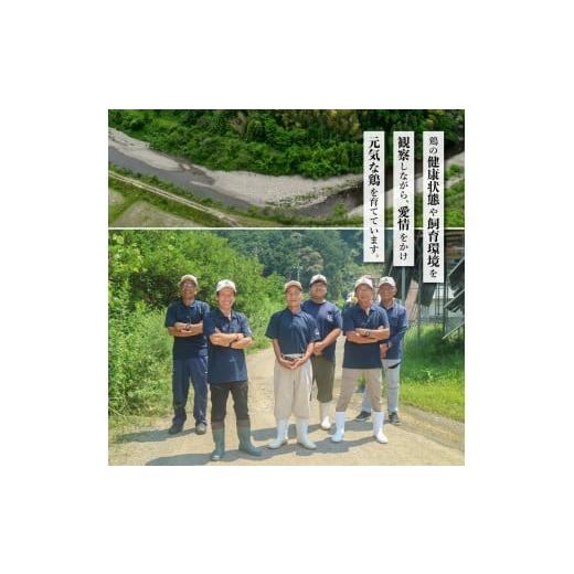 ふるさと納税 産業点数 レトルト 徳島県 海陽町 限りない 阿波尾鶏 骨付地鶏カレー 20人前仕かける カレー レトルト 阿波尾鶏 20食入り口・入口 極上阿波尾鶏骨付地鶏カレー …