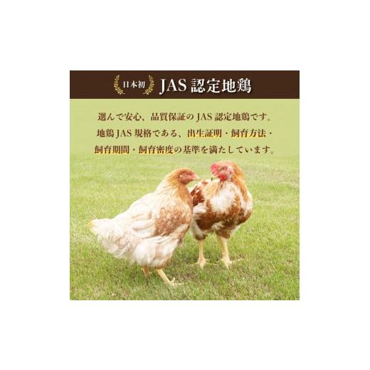 ふるさと納税 産業点数 レトルト 徳島県 海陽町 限りない 阿波尾鶏 骨付地鶏カレー 20人前仕かける カレー レトルト 阿波尾鶏 20食入り口・入口 極上阿波尾鶏骨付地鶏カレー …