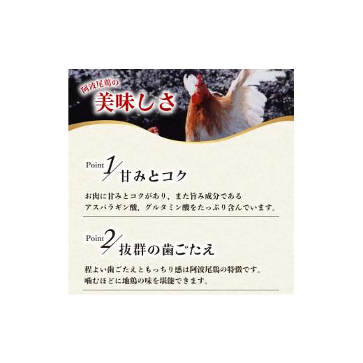 ふるさと納税 産業点数 レトルト 徳島県 海陽町 限りない 阿波尾鶏 骨付地鶏カレー 20人前仕かける カレー レトルト 阿波尾鶏 20食入り口・入口 極上阿波尾鶏骨付地鶏カレー …