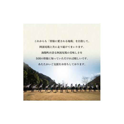 ふるさと納税 産業点数 レトルト 徳島県 海陽町 限りない 阿波尾鶏 骨付地鶏カレー 20人前仕かける カレー レトルト 阿波尾鶏 20食入り口・入口 極上阿波尾鶏骨付地鶏カレー …