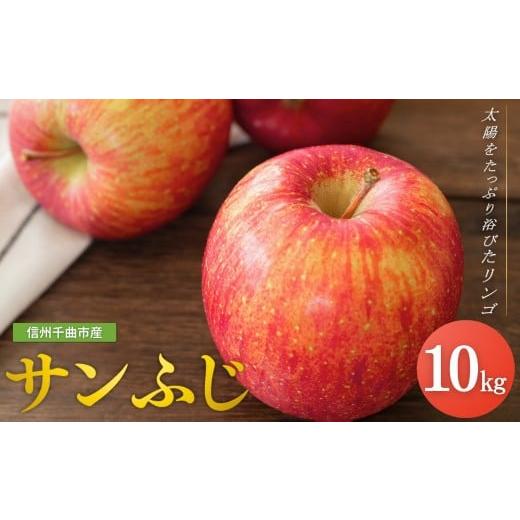 ふるさと納税 りんご 長野県 千曲市 2026年先行予約 りんご サンふじ 約10kg<中島農園>| さんふじ フルーツ 果物 信州りんご 産地直送 千曲市 長野県…