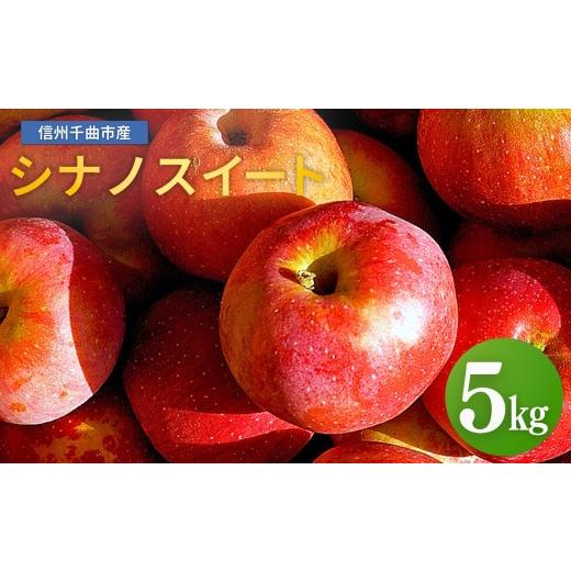 ふるさと納税 りんご 長野県 千曲市 2026年先行予約 りんご シナノスイート 12~20玉 約5kg| リンゴ 林檎 フルーツ 果物 信州りんご 長野県産 千曲市 信州 約…
