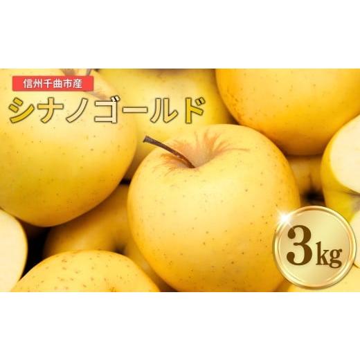 ふるさと納税 りんご 長野県 千曲市 2026年先行予約 りんご シナノゴールド 6~10玉 約3kg| リンゴ 林檎 フルーツ 果物 信州りんご 長野県産 千曲市 信州 約3…