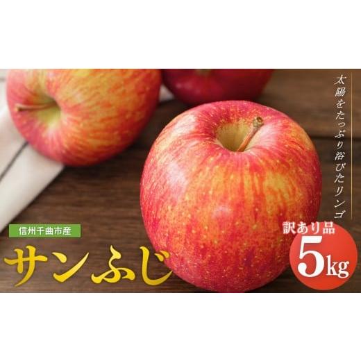 ふるさと納税 りんご 長野県 千曲市 2026年先行予約 りんご サンふじ 家庭用 訳あり 約5kg| リンゴ 林檎 フルーツ 果物 信州りんご 長野県産 千曲市 信州 約…