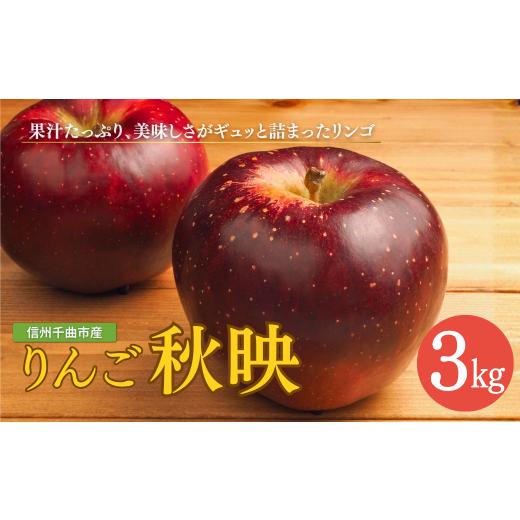 ふるさと納税 りんご 長野県 千曲市 2026年先行予約 りんご 秋映 約3kg| リンゴ 林檎 あきばえ フルーツ 果物 信州りんご 長野県産 千曲市 信州