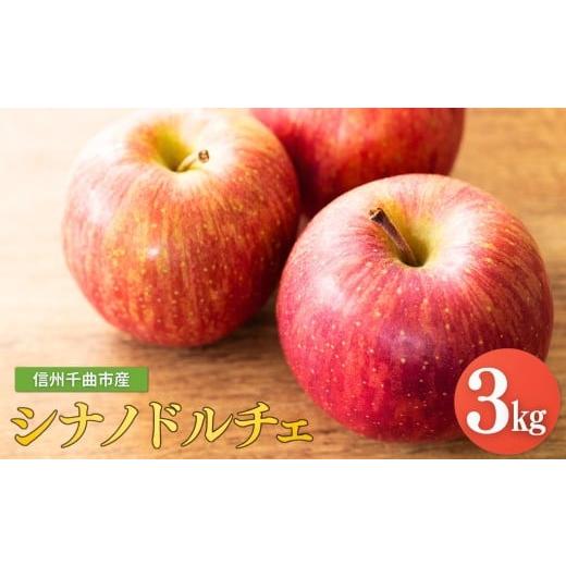 ふるさと納税 りんご 長野県 千曲市 2026年先行予約 りんご シナノドルチェ 6~11玉 約3kg| リンゴ 林檎 フルーツ 果物 信州りんご 長野県産 千曲市 信州