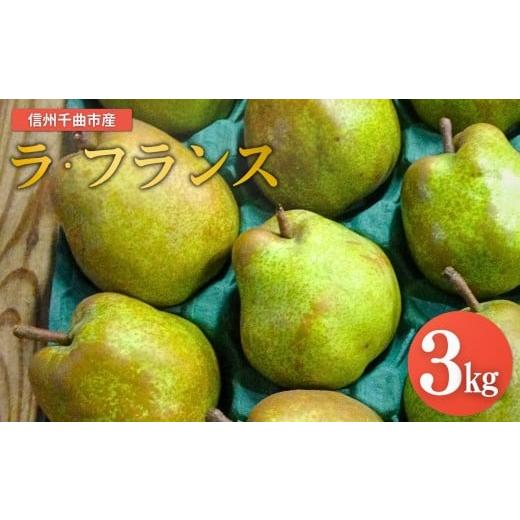 ふるさと納税 梨 長野県 千曲市 2026年先行予約 洋梨 ラ・フランス 約3kg| ラフランス 洋梨 果物フルーツ デザート 千曲市 長野県産 信州 約3kg