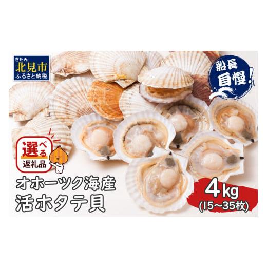 ふるさと納税 魚貝類 ホタテ 北海道 北見市 2025年11月中お届け とれたて新鮮 オホーツク海産 活ホタテ貝 4kg 15〜35枚 ( 魚介 海鮮 貝 帆立 ほたて ホタテ 4…
