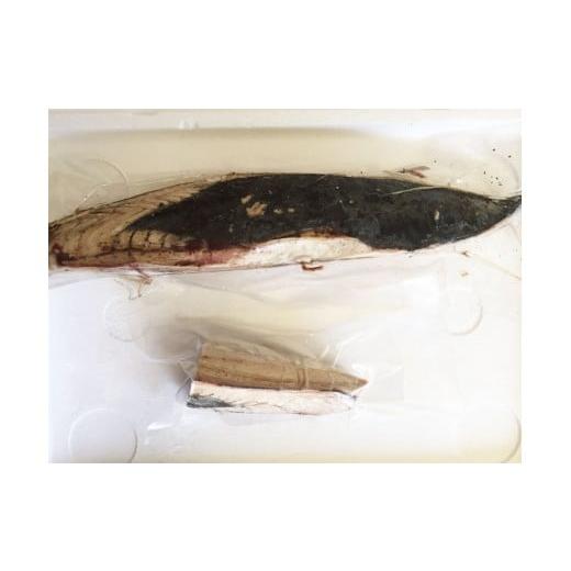 ふるさと納税 カツオ 高知県 芸西村 《9ヶ月定期便》「訳ありカツオのたたき1.5kg」〈高知県共通返礼品〉の画像