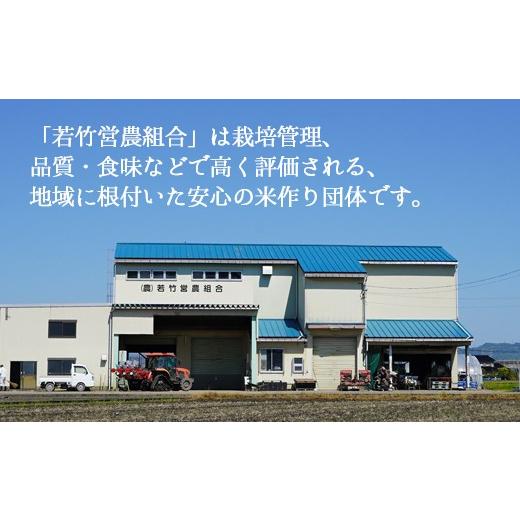 ふるさと納税 米 コシヒカリ 富山県 射水市 R8年度産米 新米予約 選べる人気のブランド米 コシヒカリ「若竹のお米 」　20kg（5kg×4） 精米 ｜米 こめ コメ …_4