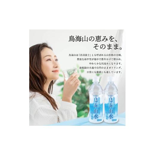 ふるさと納税 水・ミネラルウォーター 500mL〜999mL 山形県 酒田市 フレッシュ 鳥海山水 500ml ペットボトル 48本 SC0591の画像