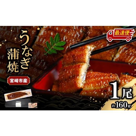 ふるさと納税 うなぎ 宮崎県 宮崎市 最速便 日時指定可能 宮崎県宮崎市産 うなぎの蒲焼 約160g(約160g×1尾) タレ・山椒セット_M325-005-2W 約160g×1尾