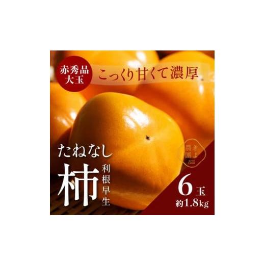 ふるさと納税 果物類 柿 和歌山県 美浜町 先行受付 柿(種無し) 赤秀品大玉 6個入 約1.8kg