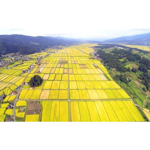 ふるさと納税 米 コシヒカリ 長野県 飯山市  先行予約 《 令和8年産 新米 》《定期便》＼ 2026年11月より6回 ／ 服部農園の「豪雪の輝き」 精米 5kg×6回 合計…_6