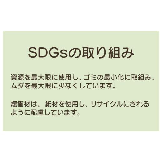 ふるさと納税 家具 本棚・ラック・カラーボックス 大阪府 泉佐野市 手作り木製 ちょっとスリムな絵本棚 幅100cmの画像