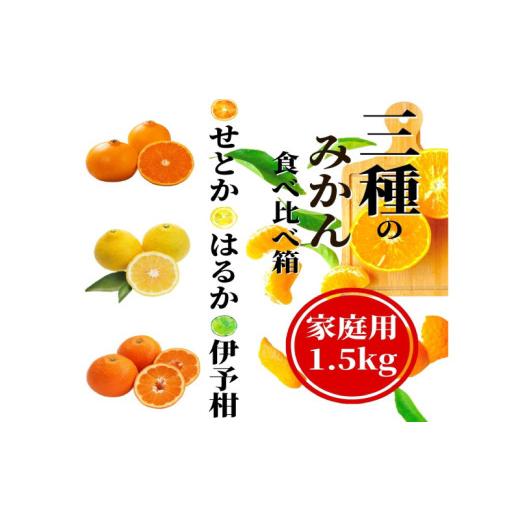 ふるさと納税 みかん・柑橘類 愛媛県 松山市 [2027年2月頃から順次発送] 三種のみかん食べ比べ箱 せとか・はるか・伊予柑 (家庭用)1.5kg | 愛媛 みかん 蜜…