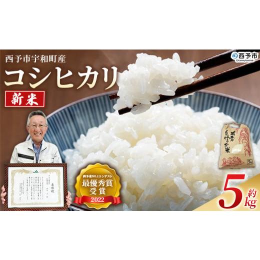 ふるさと納税 米 コシヒカリ 愛媛県 西予市 新米 令和7年産 西予市宇和町産 コシヒカリ 約5kg お米 コメ こめ 白米 精米 ご飯 穀物 こしひかり 西予米NO.1コ…