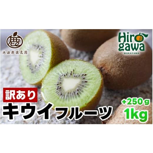 ふるさと納税 果物類 和歌山県 広川町 キウイ 家庭用 1kg+250g(痛み補償分) / キウイフルーツ 訳あり 和歌山 2025年11月中旬〜2026年6月下旬に順次発送 北…