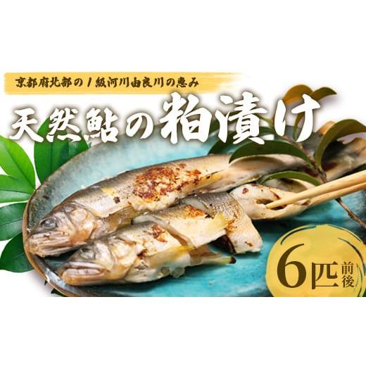 ふるさと納税 川魚 あゆ 京都府 綾部市 天然鮎の粕漬け 6匹 由良川漁協 あゆ 鮎 アユ 魚 魚介 川魚 海鮮 漬け魚 粕漬け 酒粕 天然 大人 贅沢 おつまみ 酒の肴 …