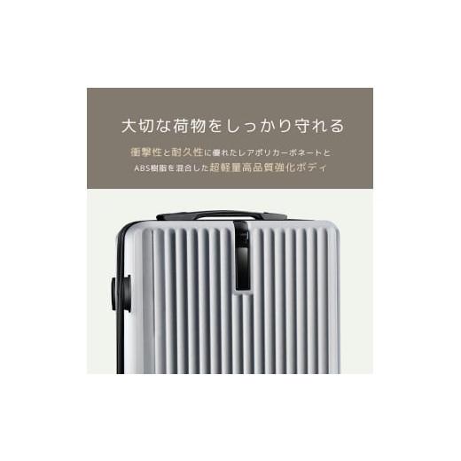 ふるさと納税 カバン 埼玉県 さいたま市 スーツケース　S　ゴールド　 ゴールド