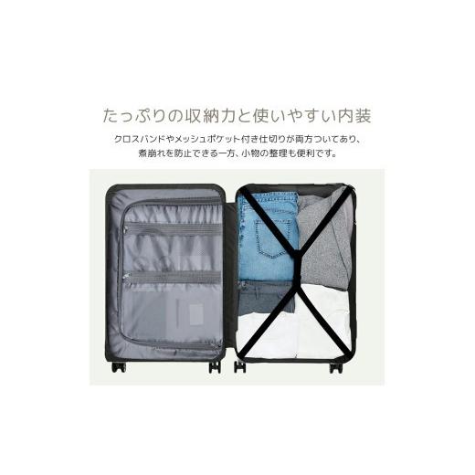 ふるさと納税 カバン 埼玉県 さいたま市 スーツケース　S　ゴールド　 ゴールド