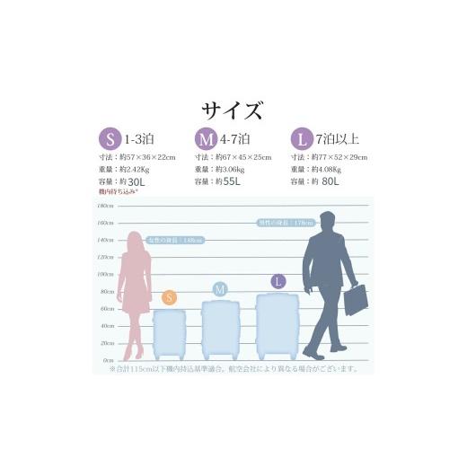ふるさと納税 カバン 埼玉県 さいたま市 スーツケース　S　ゴールド　 ゴールド