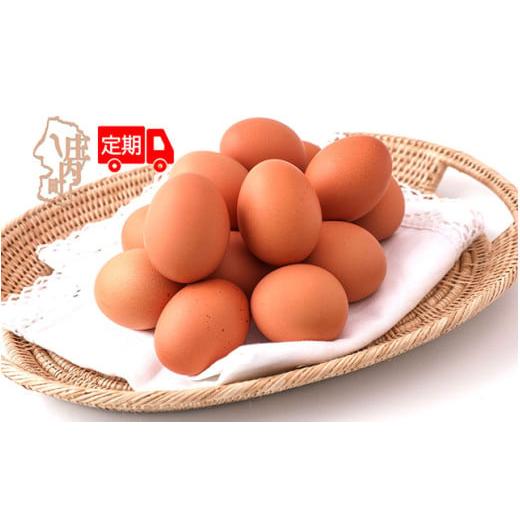 ふるさと納税 卵(鶏、烏骨鶏等) 山形県 庄内町 11月中旬発送 スズキのたまご 6か月定期便 地養卵50個(入金期限:2025.10.25) 11月中旬発送開始 50個