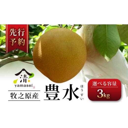 ふるさと納税 梨 静岡県 牧之原市 2026年度産 梨 豊水 3kg 数量限定 令和8年度産 先行予約 8月中旬より順次発送 選べる 容量 期間限定 フルーツ なし ほうす…