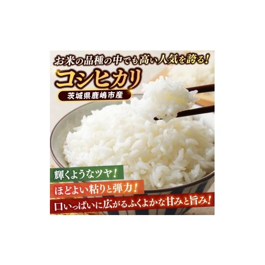 ふるさと納税 米 コシヒカリ 茨城県 鹿嶋市 令和7年産 米 コシヒカリ 30kg (玄米) 鹿嶋市産 お米 こしひかり 茨城県 鹿嶋市 75000円以内 (KDS-14)_3