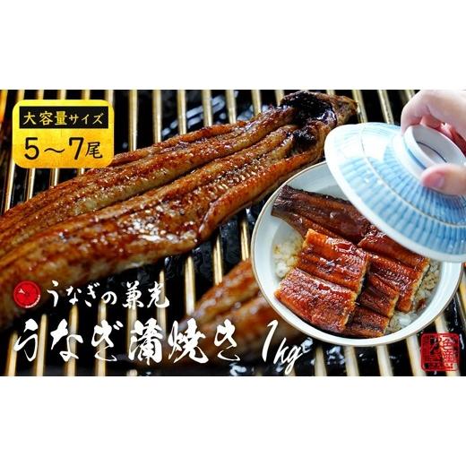 ふるさと納税 うなぎ 愛知県 西尾市 愛知県三河一色産 うなぎ蒲焼き(5尾〜7尾)計1kg 土用の丑 ・U040-30-c1 土用の丑の日までにお届け