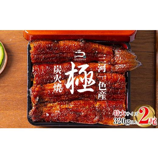 ふるさと納税 うなぎ 愛知県 西尾市 三河一色産 うなぎ蒲焼[特大2尾(計320g以上)] 土用の丑 ・R007-17-c1 土用の丑の日までにお届け