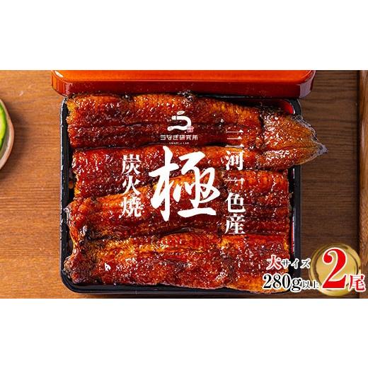 ふるさと納税 うなぎ 愛知県 西尾市 三河一色産 うなぎ蒲焼[大2尾(計280g以上)] 土用の丑 ・R004-16-c1 土用の丑の日までにお届け