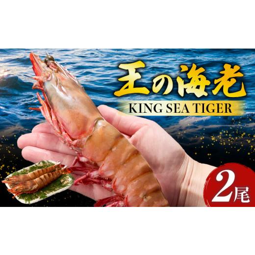 ふるさと納税 エビ 愛知県 西尾市 数量限定 特別価格 [高級]KING SEA TIGER 王の海老2尾・K305-12