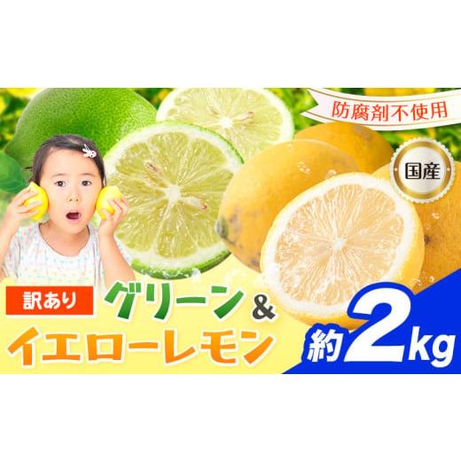 ふるさと納税 みかん・柑橘類 レモン 和歌山県 紀の川市 訳あり 国産レモン 約2kg [10月上旬-1月下旬頃出荷]産地直送 レモン 檸檬 グリーンレモン イエロー…