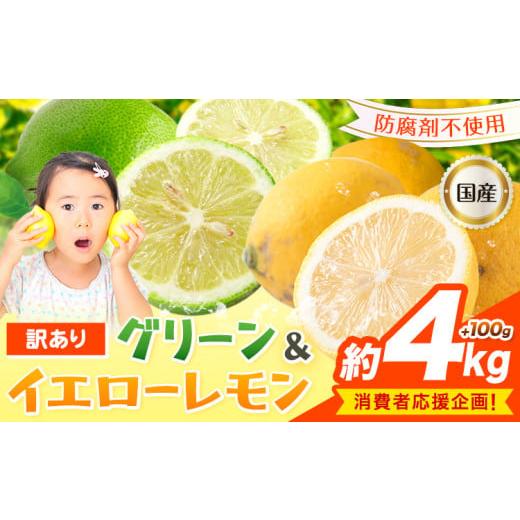 ふるさと納税 みかん・柑橘類 レモン 和歌山県 紀の川市 生産者応援企画 訳あり 国産レモン 約4kg+100g [10月上旬-1月下旬頃出荷]産地直送 レモン 檸檬 グ…