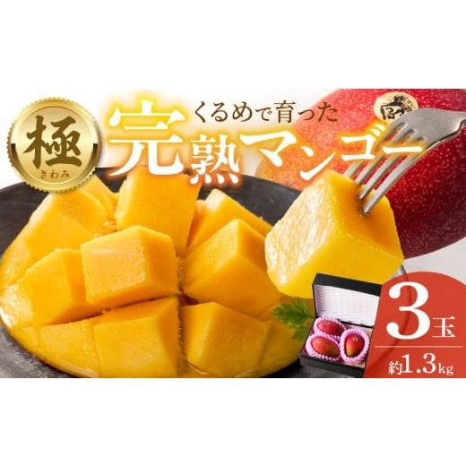 ふるさと納税 果汁飲料 マンゴー 福岡県 久留米市  2026年6月以降お届け 極 完熟マンゴー（3玉：約1.3kg）_完熟マンゴー 3玉 約 1.3kg 久留米産 平均糖度 17…の画像