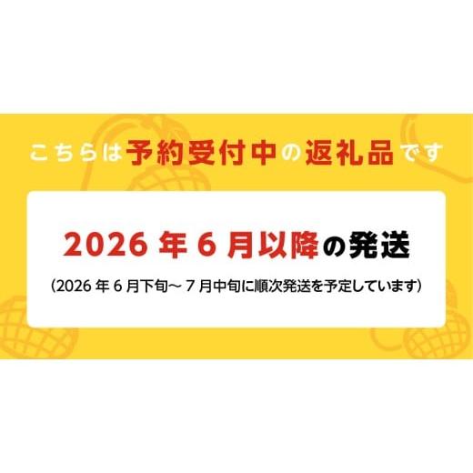 ふるさと納税 果汁飲料 マンゴー 福岡県 久留米市  2026年6月以降お届け 極 完熟マンゴー（3玉：約1.3kg）_完熟マンゴー 3玉 約 1.3kg 久留米産 平均糖度 17…の画像