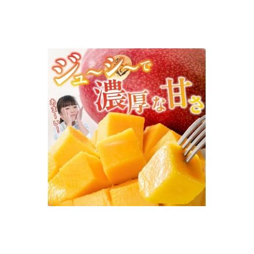 ふるさと納税 果汁飲料 マンゴー 福岡県 久留米市  2026年6月以降お届け 極 完熟マンゴー（3玉：約1.3kg）_完熟マンゴー 3玉 約 1.3kg 久留米産 平均糖度 17…の画像