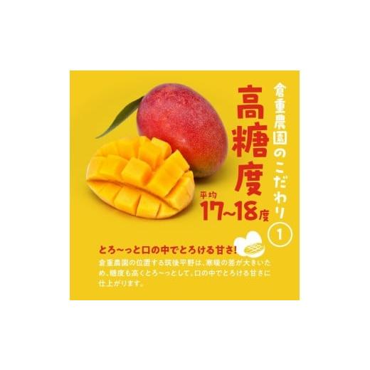 ふるさと納税 果汁飲料 マンゴー 福岡県 久留米市  2026年6月以降お届け 極 完熟マンゴー（3玉：約1.3kg）_完熟マンゴー 3玉 約 1.3kg 久留米産 平均糖度 17…の画像