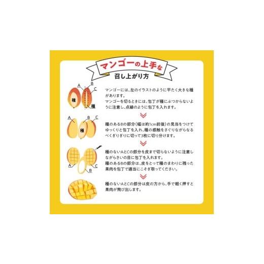 ふるさと納税 果汁飲料 マンゴー 福岡県 久留米市  2026年6月以降お届け 極 完熟マンゴー（3玉：約1.3kg）_完熟マンゴー 3玉 約 1.3kg 久留米産 平均糖度 17…の画像